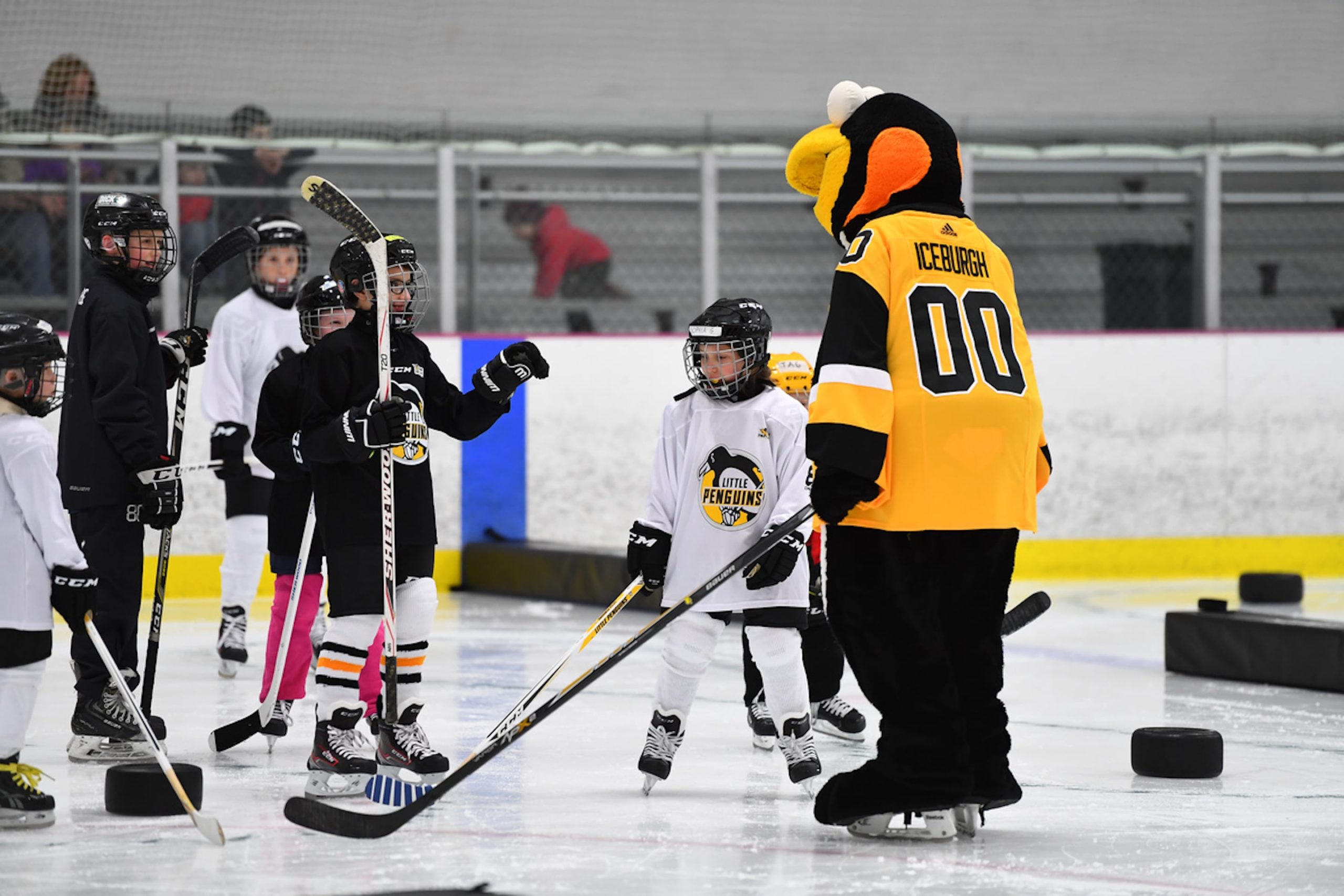 Penguins - Learn to Play Hockey - NHL