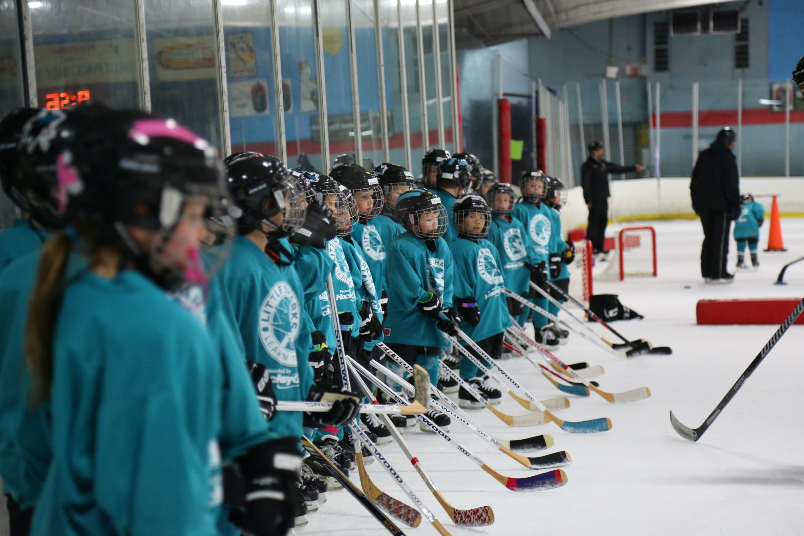 Learn To Skate  Sharks Ice at San Jose