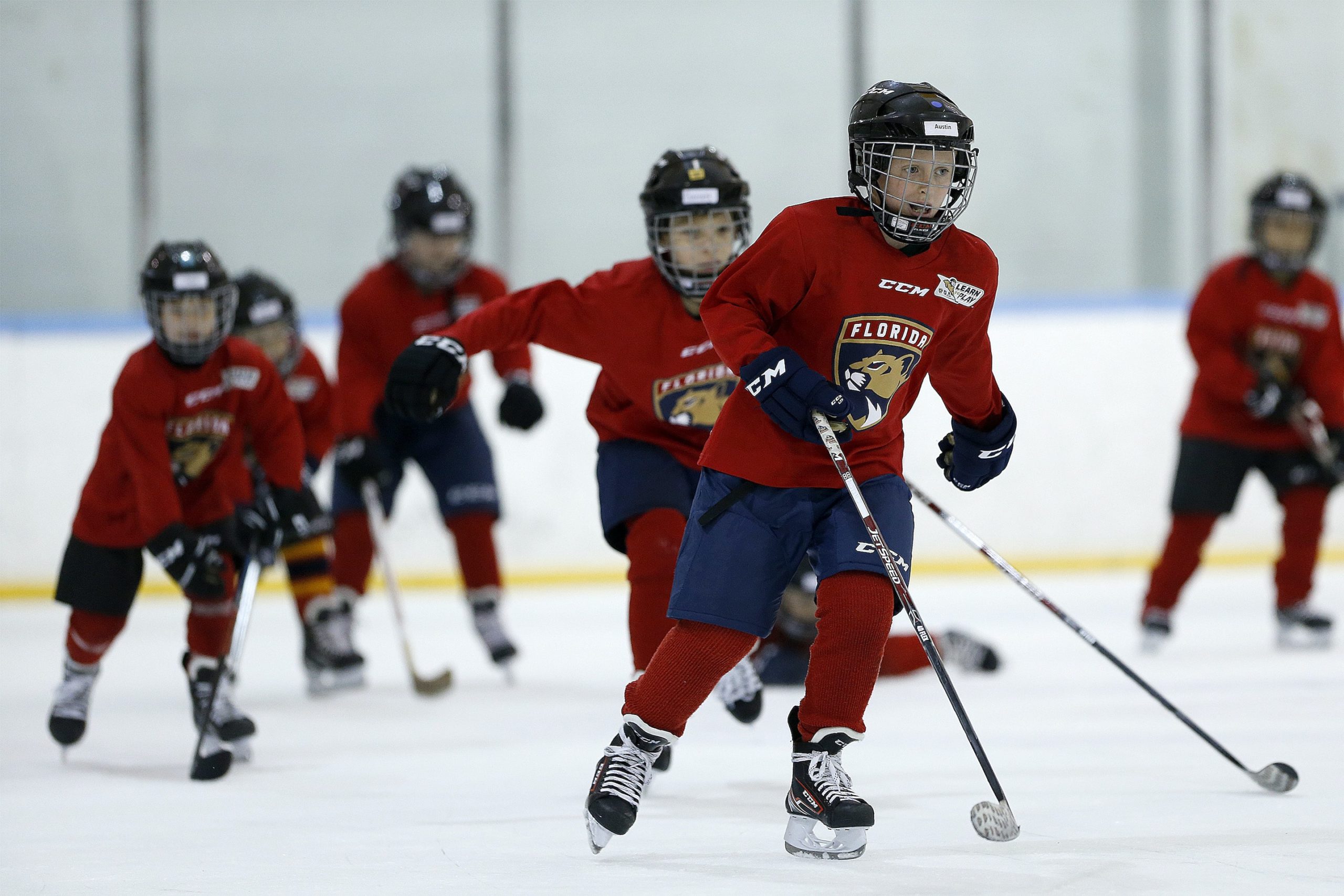 Florida Panthers IceDen